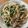 amanusa's cooksnap of when they made 大根の葉とツナの和風パスタ.