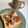 Ri→chan's cooksnap of when they made ＊からしマヨdeツナとトマトのトースト＊.