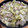 ママメイン！時々子供's cooksnap of when they made キャベツと豚バラの白だしさっと煮.