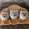 まめたん's cooksnap of when they made 牛乳だけで♪チョコレートガナッシュ.