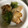 みぽりんちゃん's cooksnap of when they made 簡単！激ウマ！鶏ささみとブロッコリー炒め.