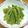 YCHキッチン's cooksnap of when they made 茎わかめはにんにく炒めが断然うまい♪.