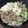 YCHキッチン's cooksnap of when they made ☆塩肉豆腐☆.