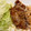 クックM1G32R☆'s cooksnap of when they made 簡単！ 豚の生姜焼き.