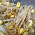 友夏のママゴン's cooksnap of when they made 韓国の家庭の味１！豆もやしのナムル.