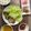 ☆あさ's cooksnap of when they made 米粉でヘルシー♪紅生姜と蓮根の揚げ焼き♪.