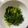 みきちゃんLove's cooksnap of when they made 大量消費＊サニーレタスのナムル.