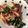 ☆ayami☆26's cooksnap of when they made 生わかめと大根、新玉の和風サラダ.