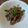 ばたみそーぱん☆'s cooksnap of when they made ウマすぎ注意！砂肝のニンニク柚子胡椒炒め.