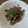 ばたみそーぱん☆'s cooksnap of when they made ウマすぎ注意！砂肝のニンニク柚子胡椒炒め.