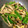 クックOCFIGK☆'s cooksnap of when they made なすとしめじの味噌炒め.