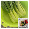 しゅい6's cooksnap of when they made 綺麗無駄ない小松菜・法蓮草の洗い方切り方.