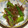 ミロ9607's cooksnap of when they made シロさんのオクラのおかか炒め.