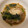 cho nagata's cooksnap of when they made 簡単　豚の生姜焼き.