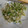 熊猫's cooksnap of when they made ねぎ塩だれ.