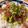mantacarp's cooksnap of when they made サラダや丼に♪剥かない!アボカドの切り方.