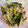 チぃ〜's cooksnap of when they made きゅうりとツナの和え物.