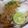 なつきばぁば's cooksnap of when they made うちのぶっかけうどん.