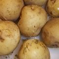 earlybirdk's cooksnap of when they made ＊ルクエdeじゃがいもの昆布茶和え＊.