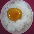 cocookojo's cooksnap of when they made 【簡単】黄身の醤油漬け【おつまみ】.