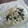 ちはもん's cooksnap of when they made ほうれん草ともやしのナムル.