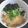 あずきっくす's cooksnap of when they made ★我が家のうどんつゆ★.