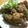 ねっちゃんっ's cooksnap of when they made 味付け簡単ジューシー中華味＊鶏の唐揚げ＊.