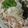 SILK0205's cooksnap of when they made 簡単明太子マヨネーズうどん☆.