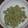 toshiebaba's cooksnap of when they made そら豆のネギ油炒め.
