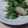 sleepfish's cooksnap of when they made パクチー豆腐☆.