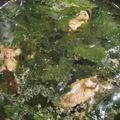 ちゃみ's cooksnap of when they made 牛肉入りわかめスープ(미역국ミヨックッ).