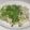 きらり流れ星's cooksnap of when they made 水菜ときのこのポン酢チャーハン.