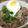ミチケイ's cooksnap of when they made 簡単・絶品☆牛丼.