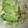 かぴーな's cooksnap of when they made ○アボカドと豆腐ときゅうりの和え物○.