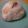 綾波アスカ's cooksnap of when they made いもごはん.