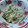 ゆきらっくま's cooksnap of when they made フライパンで簡単☆もやしと豚肉の蒸し焼き.