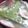 ユーロン's cooksnap of when they made ぽっかぽっかのきのこ汁.