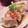 hal-pi's cooksnap of when they made 豚肉とナスのさっぱりみぞれ和え.