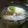 arunco's cooksnap of when they made グレープフルーツハニージンジャーゼリー.