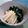 よっぺい～'s cooksnap of when they made 若竹煮.