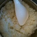 クレヨンさん's cooksnap of when they made 節電×おいしい♪鍋炊きごはん.