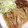 tink☆'s cooksnap of when they made 簡単もやし炒め.