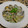 mihoA's cooksnap of when they made あさりのワイン蒸し～スープ仕立て～.