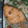 toshiebaba's cooksnap of when they made 鮭の味噌マヨ焼き.