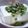 mocom's cooksnap of when they made かぼちゃの種で冷や奴.