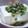 mocom's cooksnap of when they made かぼちゃの種で冷や奴.