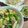 そらtoしろ's cooksnap of when they made 白身魚と野菜のイタリアンホットサラダ♪.