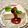 だいず♪'s cooksnap of when they made 寒天で、おからと豆腐のレア風チーズケーキ.