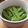haru吉's cooksnap of when they made おつまみ・箸休めに絹さやの食べラーポン酢.