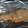 toshiebaba's cooksnap of when they made 鮭の味噌マヨ焼き.
